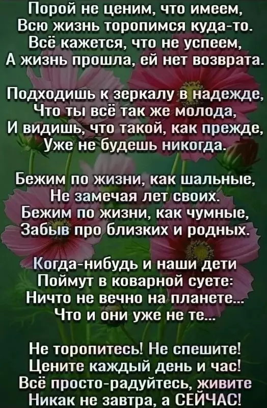 Любимые стихи