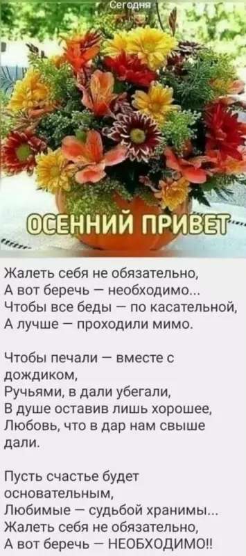 Любимые стихи