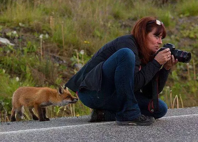 Эти забавные животные