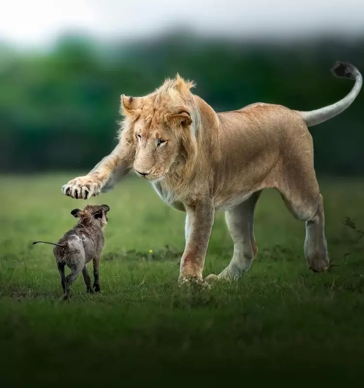 Эти забавные животные