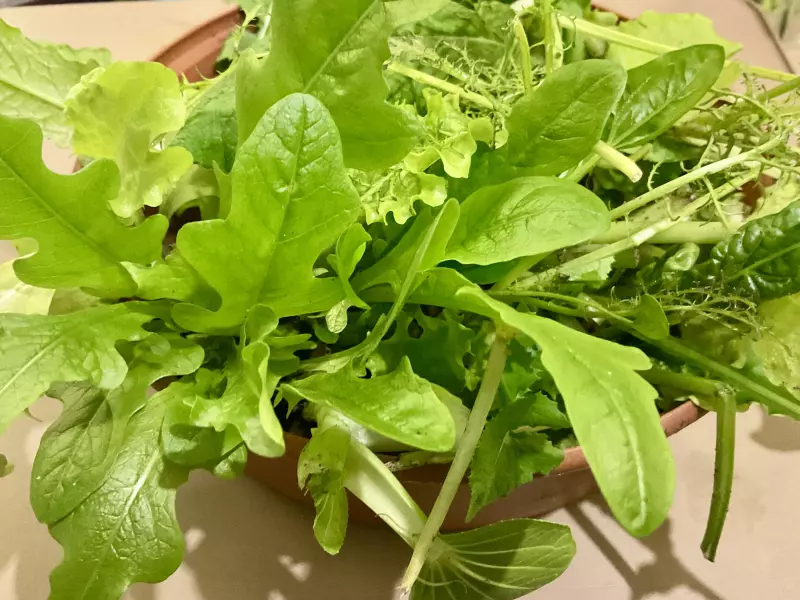 Что Вы сейчас едите? Фотоблог с вашего стола