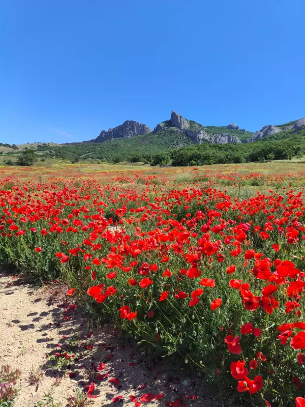 Фотонастроение