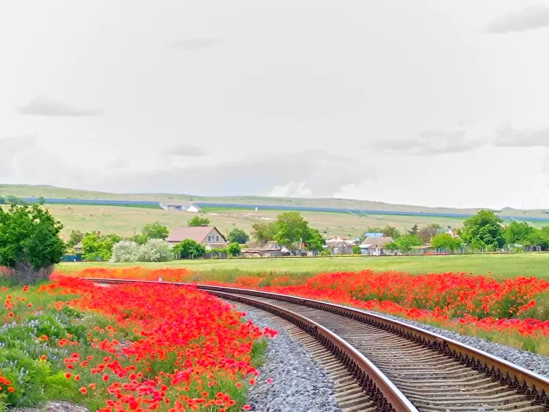 Фотонастроение