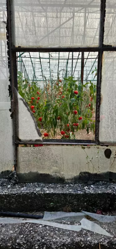 Фотонастроение