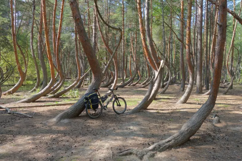 Фотонастроение