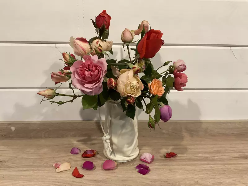 Загородная жизнь - обустройство на земле во всем разнообразии