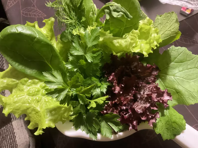 Загородная жизнь - обустройство на земле во всем разнообразии