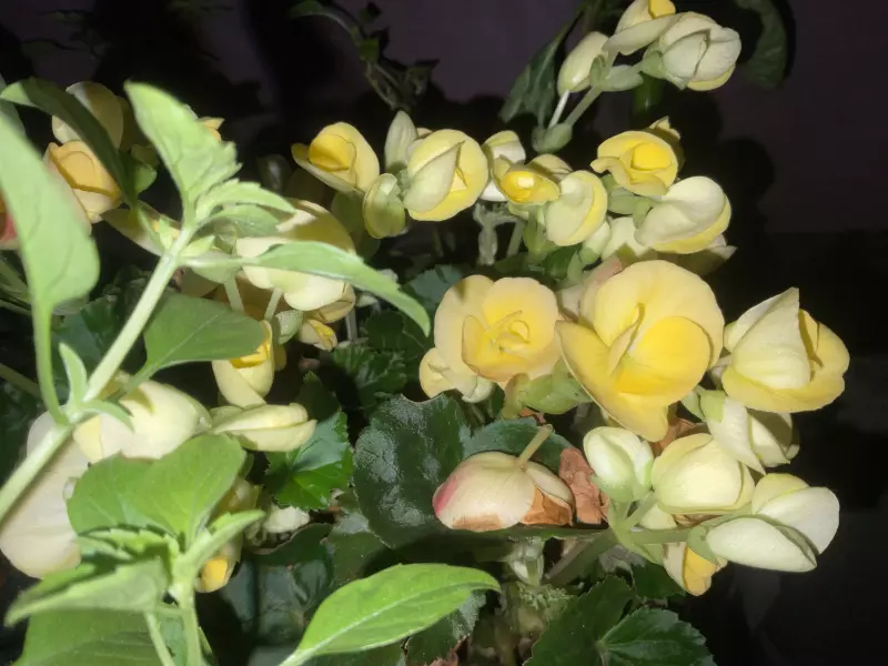 Загородная жизнь - обустройство на земле во всем разнообразии