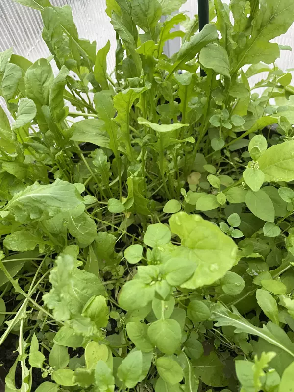 Загородная жизнь - обустройство на земле во всем разнообразии