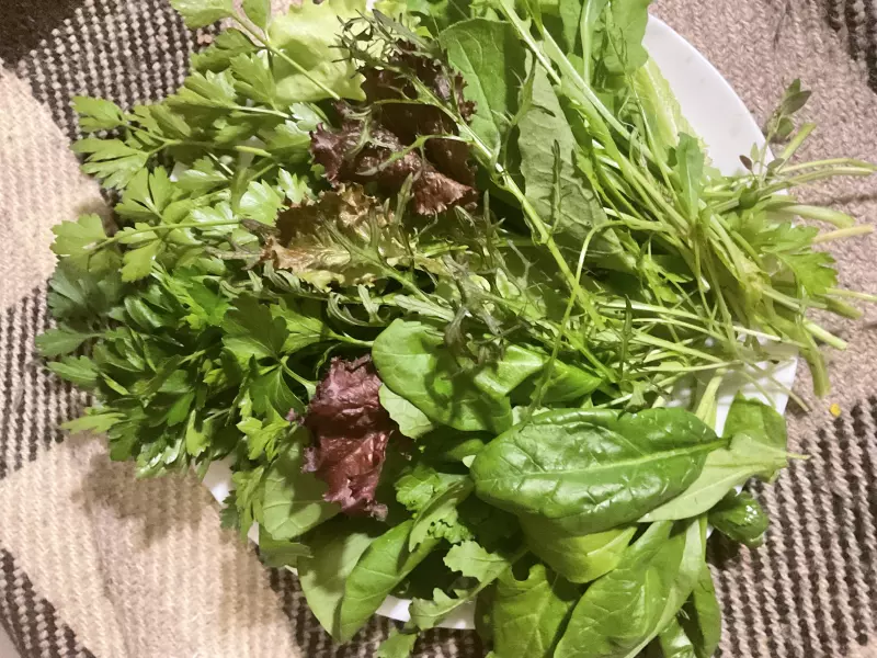 Загородная жизнь - обустройство на земле во всем разнообразии