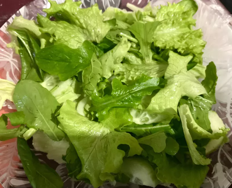 Загородная жизнь - обустройство на земле во всем разнообразии