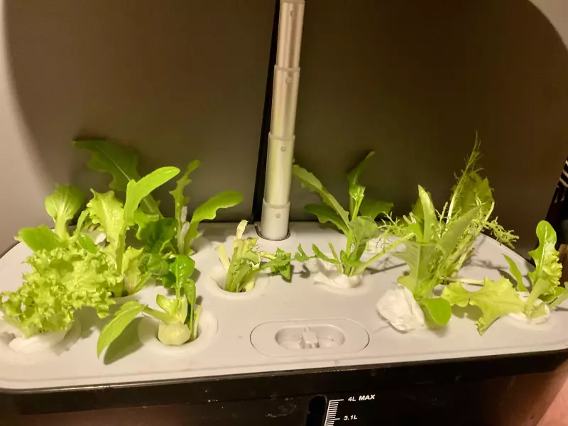 Загородная жизнь - обустройство на земле во всем разнообразии