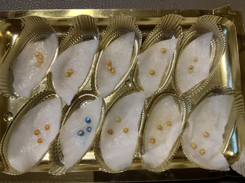 Загородная жизнь - обустройство на земле во всем разнообразии