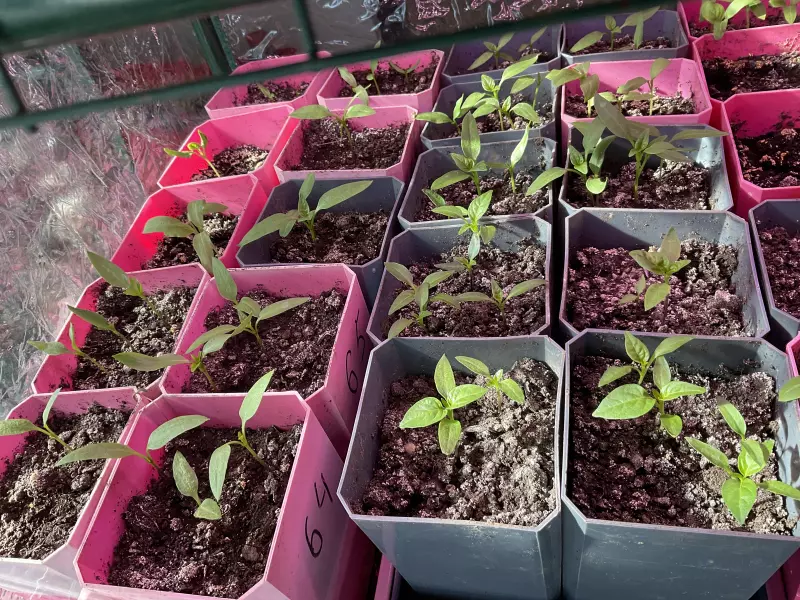 Загородная жизнь - обустройство на земле во всем разнообразии