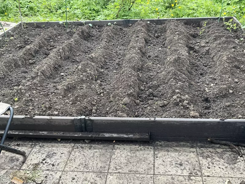 Загородная жизнь - обустройство на земле во всем разнообразии